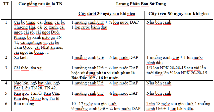 Kỹ thuật trồng rau ăn lá